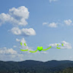 Meet your Posher, Ely